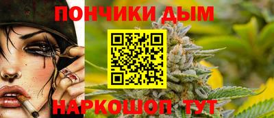 прущие грибы Канаш
