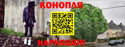 прущие грибы Канаш