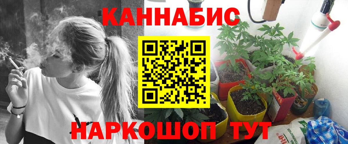 Канабис MAZAR Коммунар
